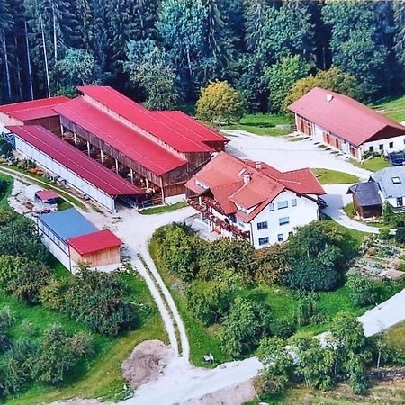 Ferienwohnungen Bauernhof Schilcher Sankt Stefan im Lavanttal Exteriör bild