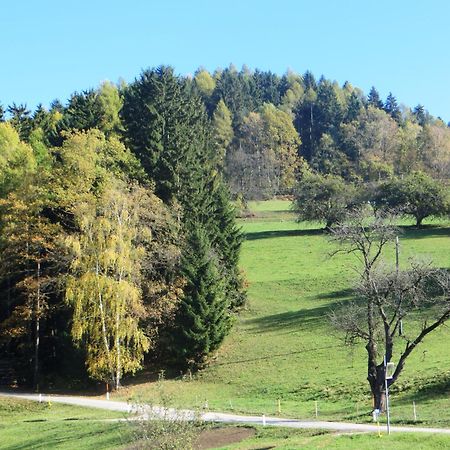 Ferienwohnungen Bauernhof Schilcher Sankt Stefan im Lavanttal Exteriör bild
