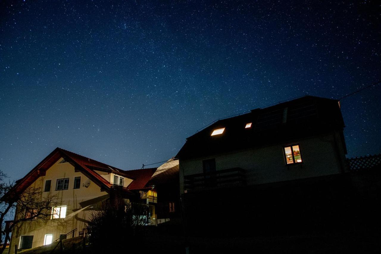 Ferienwohnungen Bauernhof Schilcher Sankt Stefan im Lavanttal Exteriör bild