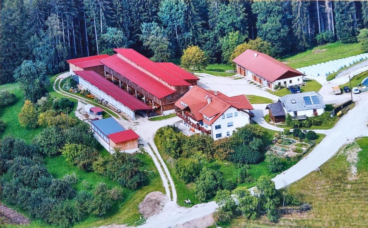 Ferienwohnungen Bauernhof Schilcher Sankt Stefan im Lavanttal Exteriör bild