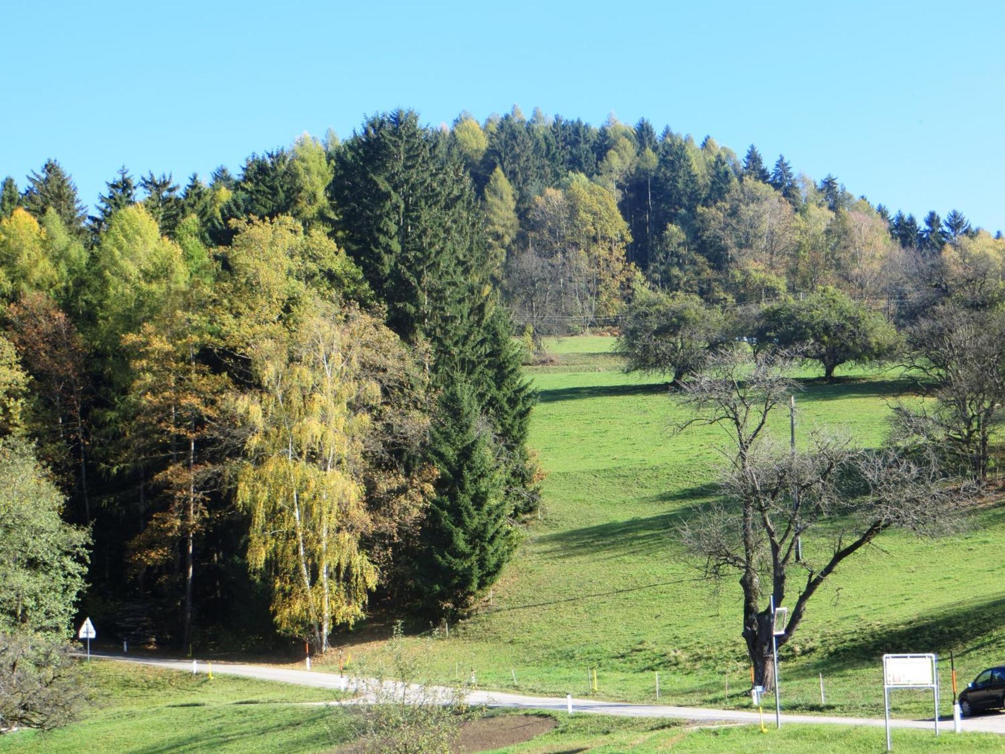Ferienwohnungen Bauernhof Schilcher Sankt Stefan im Lavanttal Exteriör bild