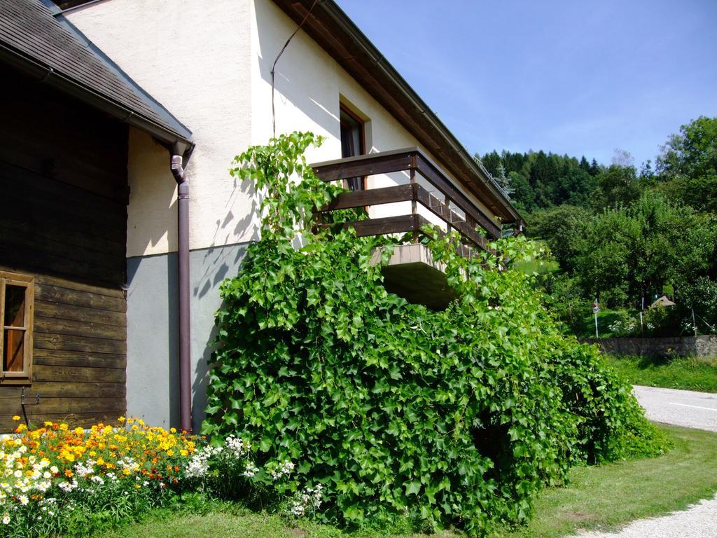 Ferienwohnungen Bauernhof Schilcher Sankt Stefan im Lavanttal Exteriör bild