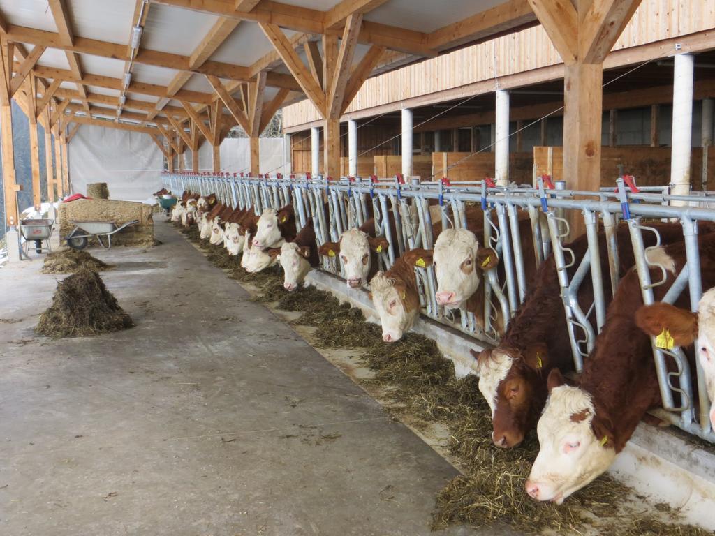Ferienwohnungen Bauernhof Schilcher Sankt Stefan im Lavanttal Exteriör bild